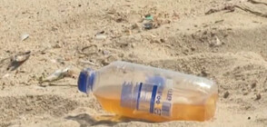Защо плажът край Шкорпиловци е заринат с боклуци?