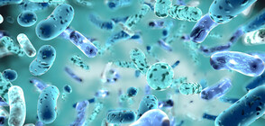 Бактерия изяде 25% от кожата на мъж