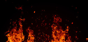 Голям пожар гори край Делфи