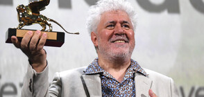 "Златен лъв" за цялостно творчество получи Алмодовар във Венеция