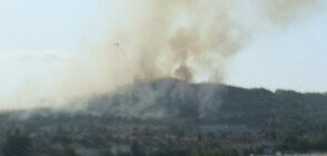 Голям пожар пламна край Сливница (СНИМКИ)