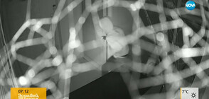 "Дръжте крадеца": Мъж обра офис във Варна (ВИДЕО)