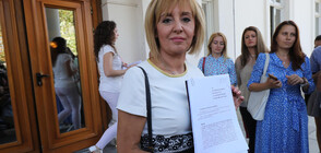 Мая Манолова подаде оставка като омбудсман