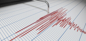 Земетресение от 5,5 по Рихтер разтърси Венецуела