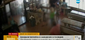 8 души са задържани заради погрома в заведение в Пловдив