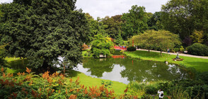 Красиви градове с водни канали вместо улици (ГАЛЕРИЯ)