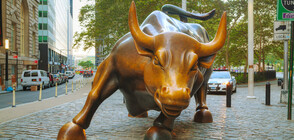 Вандал повреди статуята "Атакуващия бик" на "Уолстрийт" (СНИМКИ)