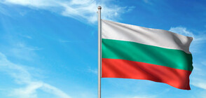 Запалиха българското знаме на карнавал в Северна Македония (ВИДЕО)