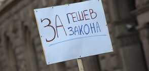 Шествие „За Гешев, против олигархията" в София