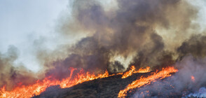 Голям горски пожар избухна на гръцкия остров Кефалония