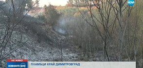 Пожар край Димитровград