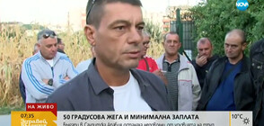 На гурбет в Саудитска Арабия срещу 400 лева заплата