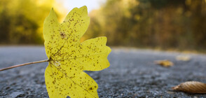 Есен в Европа: Най-подходящите градове за екскурзия (ГАЛЕРИЯ)