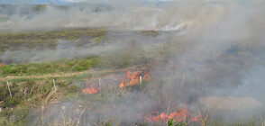 Дежурни екипи ще следят за палене на стърнища