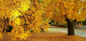 Астрономическата есен идва със слънце