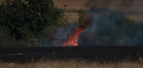 37 сигнала за запалени стърнища през почивните дни