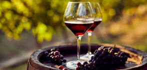 ПРОВЕРКА НА NOVA: Ще поскъпне ли българското вино?