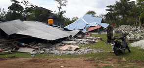 Земетресението в Източна Индонезия взе 23 жертви