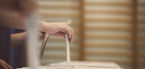 В Австрия гласуват на предсрочни парламентарни избори