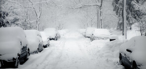 Зимата дойде в райони на САЩ и Канада със снежна покривка от 91 см (ВИДЕО+СНИМКИ)