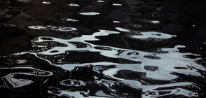 Проверяват сигнал за голямо нефтено петно в река Дунав