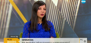 Как фестивал събира киното и литературата на едно място?