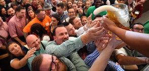 Октоберфест приключи със 7,3 милиона литра изпита бира