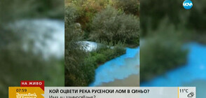 Водите на река Русенски Лом се оцветиха в електриково синьо (ВИДЕО)