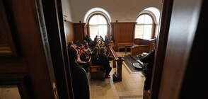 ВКС решава за свободата на Полфрийман до два месеца (ВИДЕО+СНИМКИ)