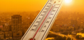 Над 400 температурни рекорда са регистрирани това лято