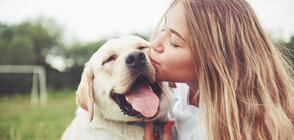 Кучетата удължават живота на собственика си