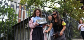 КАЗУСЪТ „БНР”: Следват очни ставки и разпечатки на телефонни разговори