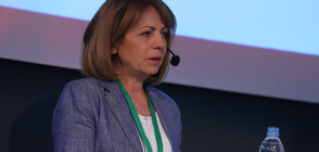 Изследване: Фандъкова печели 40%, ако изборите бяха днес