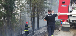 Голям горски пожар пламна край Белица (СНИМКИ)