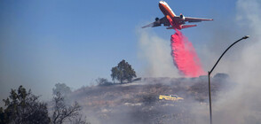 Огнената стихия в Калифорния се разраства (ВИДЕО+СНИМКИ)