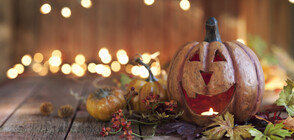 Как се маскираха звездите за Хелоуин (СНИМКИ)