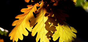 Есента напомни за себе си, но идва ново затопляне