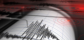 Земетресение беше регистрирано близо до Страсбург