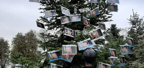 Протестиращите майки украсиха коледно дърво с лика на Валери Симеонов (ВИДЕО+СНИМКИ)