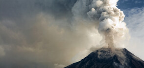 Нова Зеландия поръча кожа от чужбина за пострадалите от вулкана