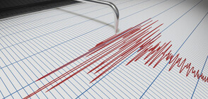 Земетресение от 5,2 по Рихтер в Казахстан