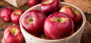 Нов сорт ябълки могат да стоят в хладилника година, без да се развалят