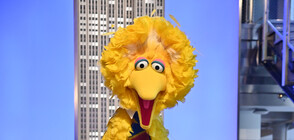 Почина актьорът, изиграл Голямото пиле от "Улица Сезам"