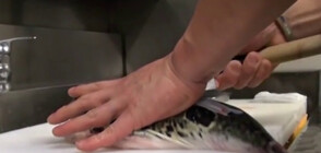 Отровна риба е един от най-големите деликатеси в света