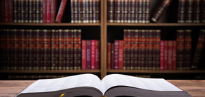 Библиотека на дърво радва шуменци (ВИДЕО)