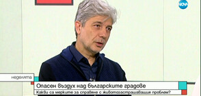 Димов: Ако общините не изпълняват целите за чистота на въздуха, подлежат на санкции