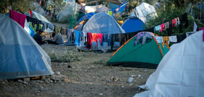 "Ди Велт": От Турция в Гърция са влезли над 67 000 мигранти, в България - под 200