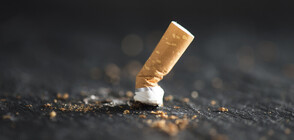 Пореден спад на търговията и употребата на контрабандни цигари у нас