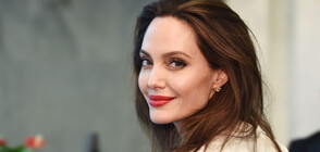 Анджелина Джоли вече е лицензиран пилот