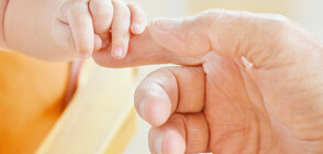 Звездните БГ бебета на 2019 г. (ГАЛЕРИЯ)